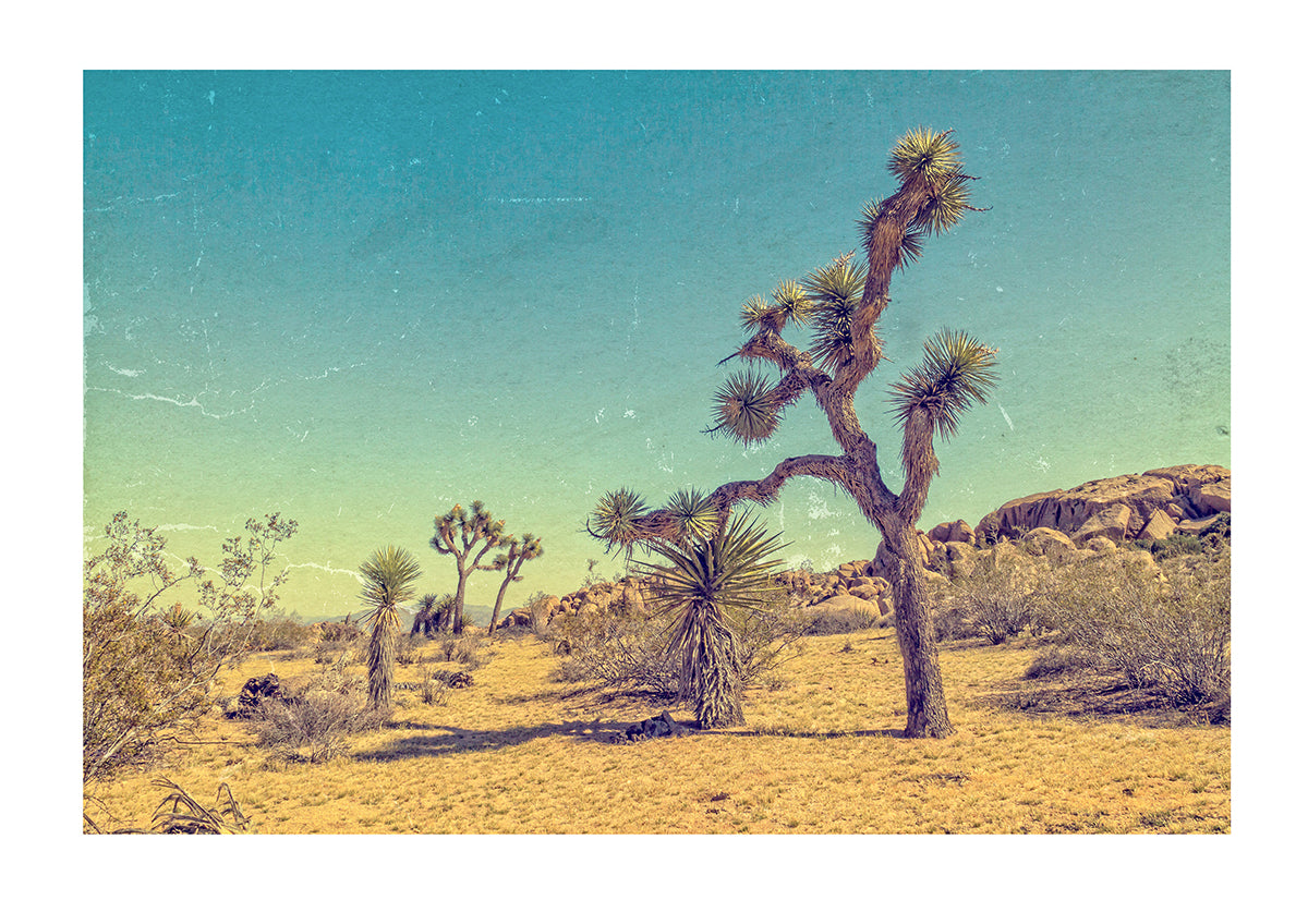 Sand Photography Print #1