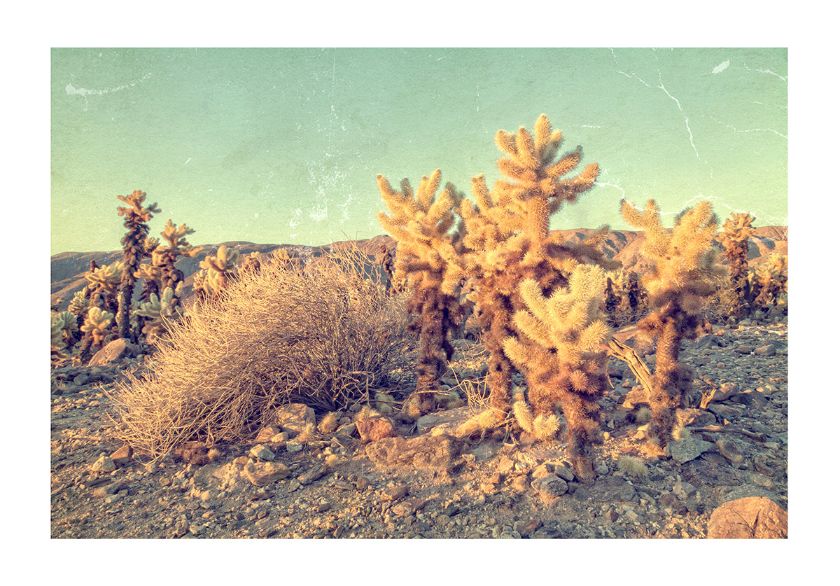 Sand Photography Print #3