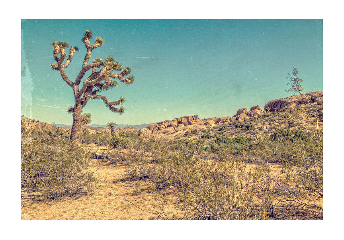 Sand Photography Print #4