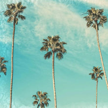 Load image into Gallery viewer, photo of palm trees, blue sky and cloud whisps