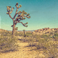 Load image into Gallery viewer, desert scene photograph with large cactus tree, color aged to look vintage