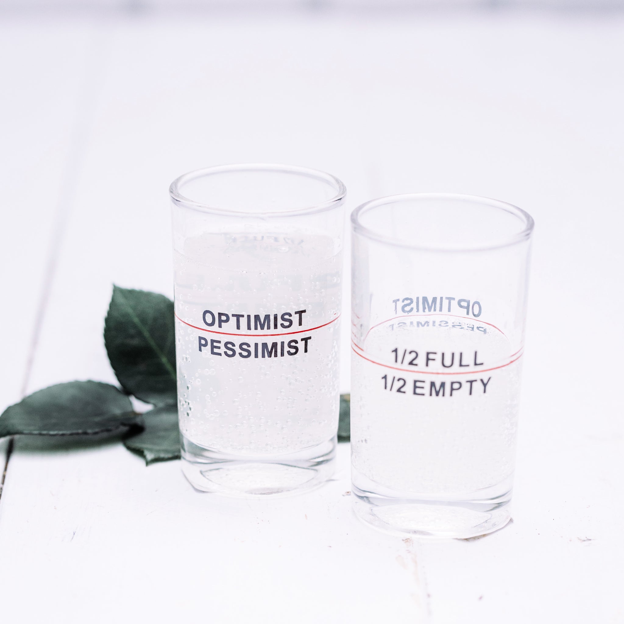 Is the Glass Half-Full or Half-Empty?